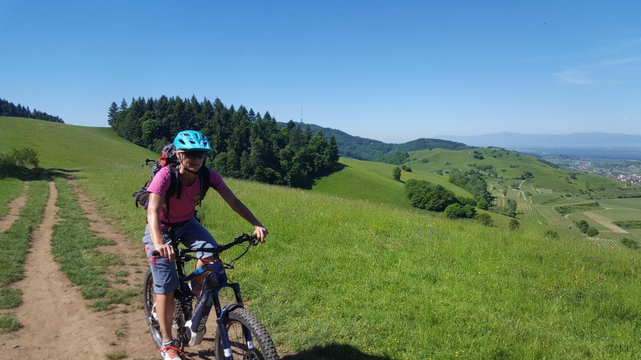 Gaestehaus Casa Luna - Paradiesische Ferienwohnungen Am Kaiserstuhl! Bischoffingen Kültér fotó