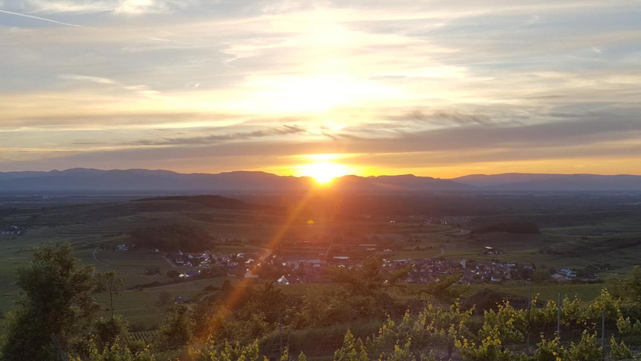 Gaestehaus Casa Luna - Paradiesische Ferienwohnungen Am Kaiserstuhl! Bischoffingen Kültér fotó
