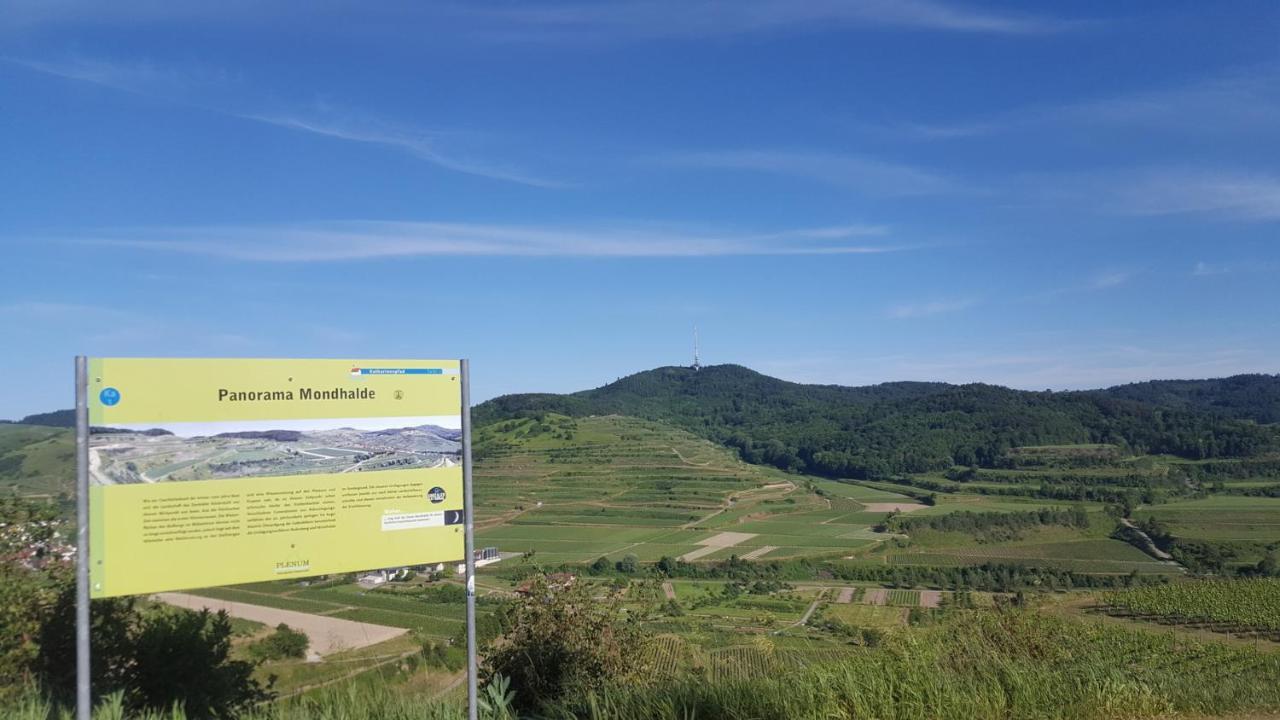 Gaestehaus Casa Luna - Paradiesische Ferienwohnungen Am Kaiserstuhl! Bischoffingen Kültér fotó