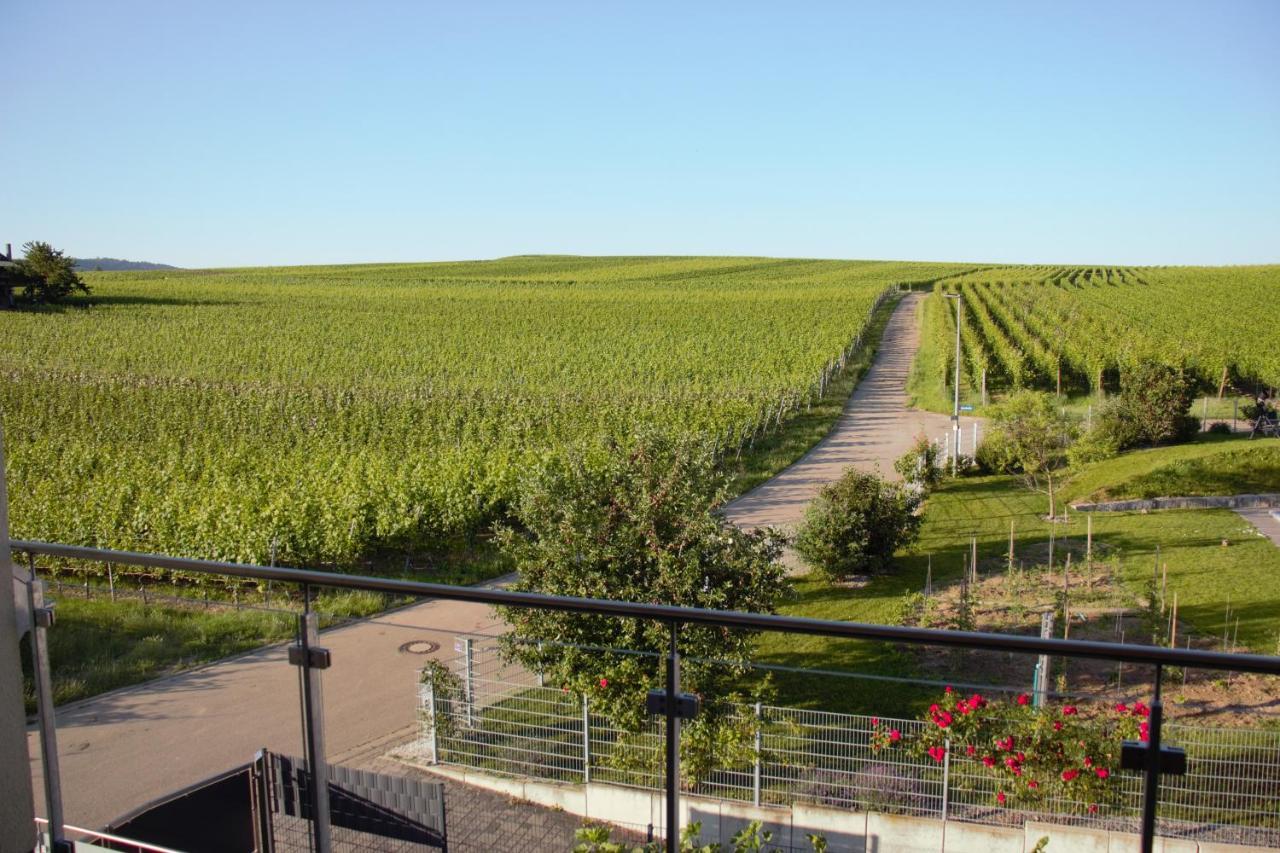 Gaestehaus Casa Luna - Paradiesische Ferienwohnungen Am Kaiserstuhl! Bischoffingen Kültér fotó