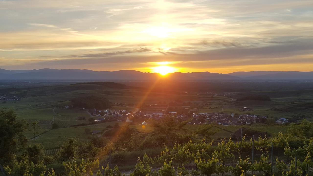 Gaestehaus Casa Luna - Paradiesische Ferienwohnungen Am Kaiserstuhl! Bischoffingen Kültér fotó