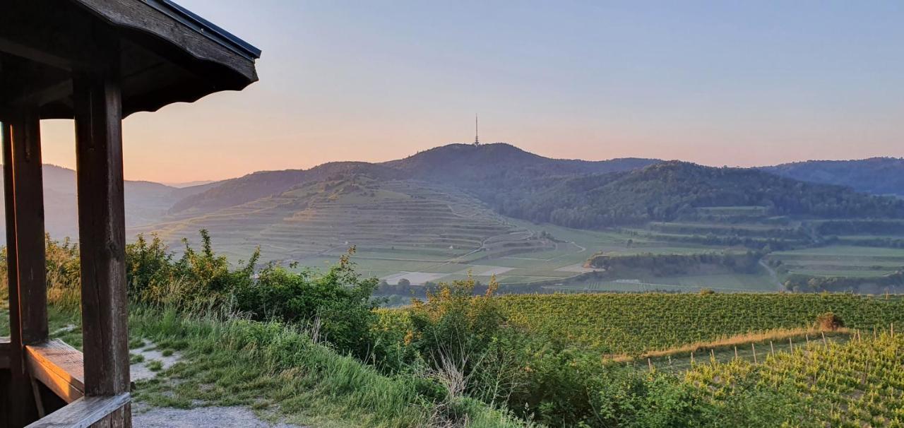 Gaestehaus Casa Luna - Paradiesische Ferienwohnungen Am Kaiserstuhl! Bischoffingen Kültér fotó