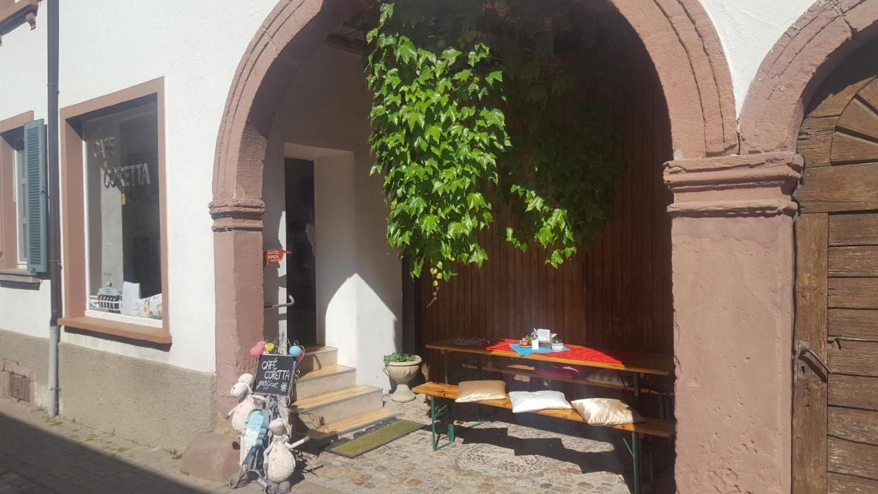 Gaestehaus Casa Luna - Paradiesische Ferienwohnungen Am Kaiserstuhl! Bischoffingen Kültér fotó